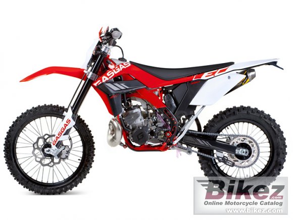 2012 GAS GAS EC 300 photo